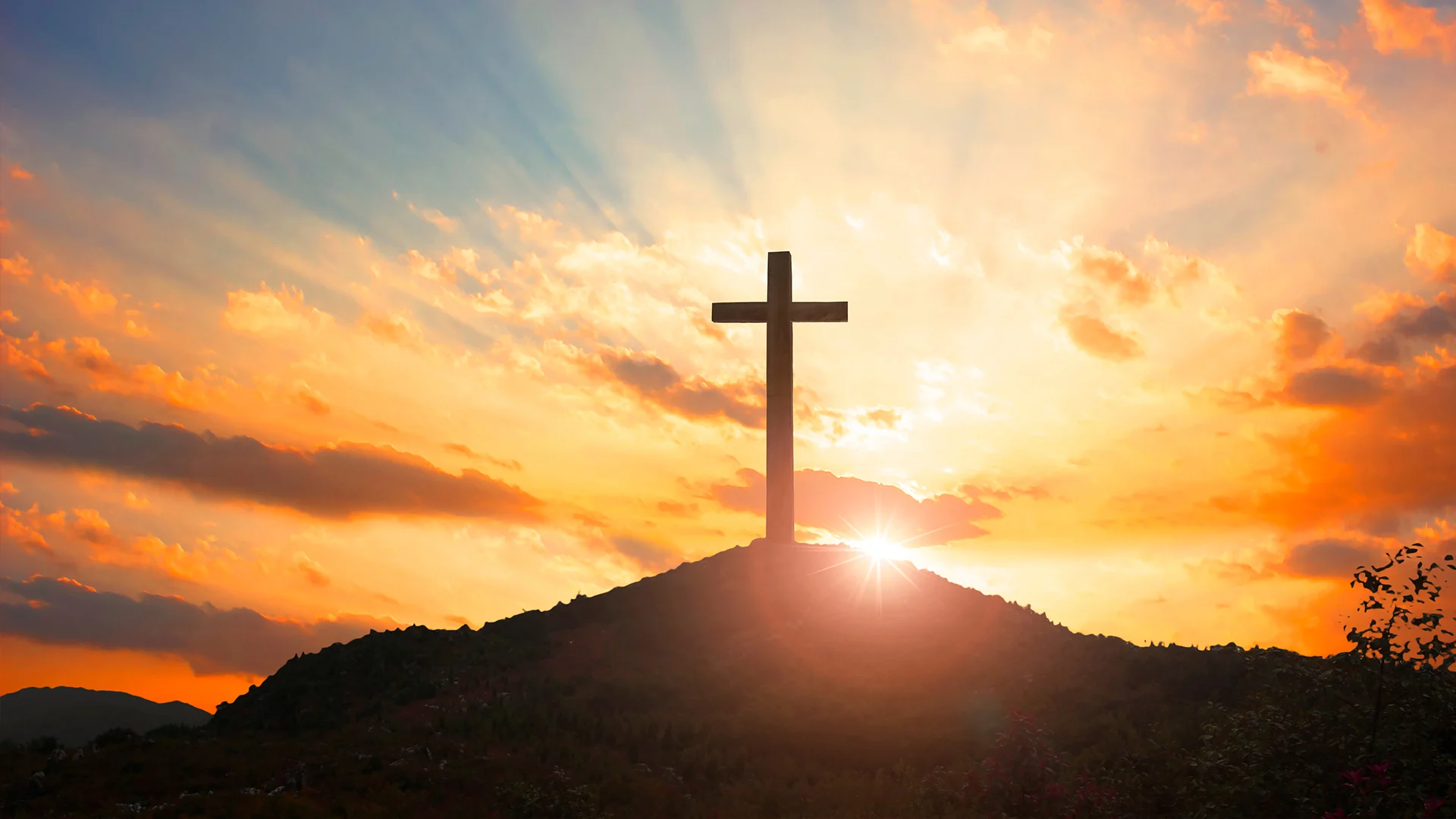Bible Study and Prayer